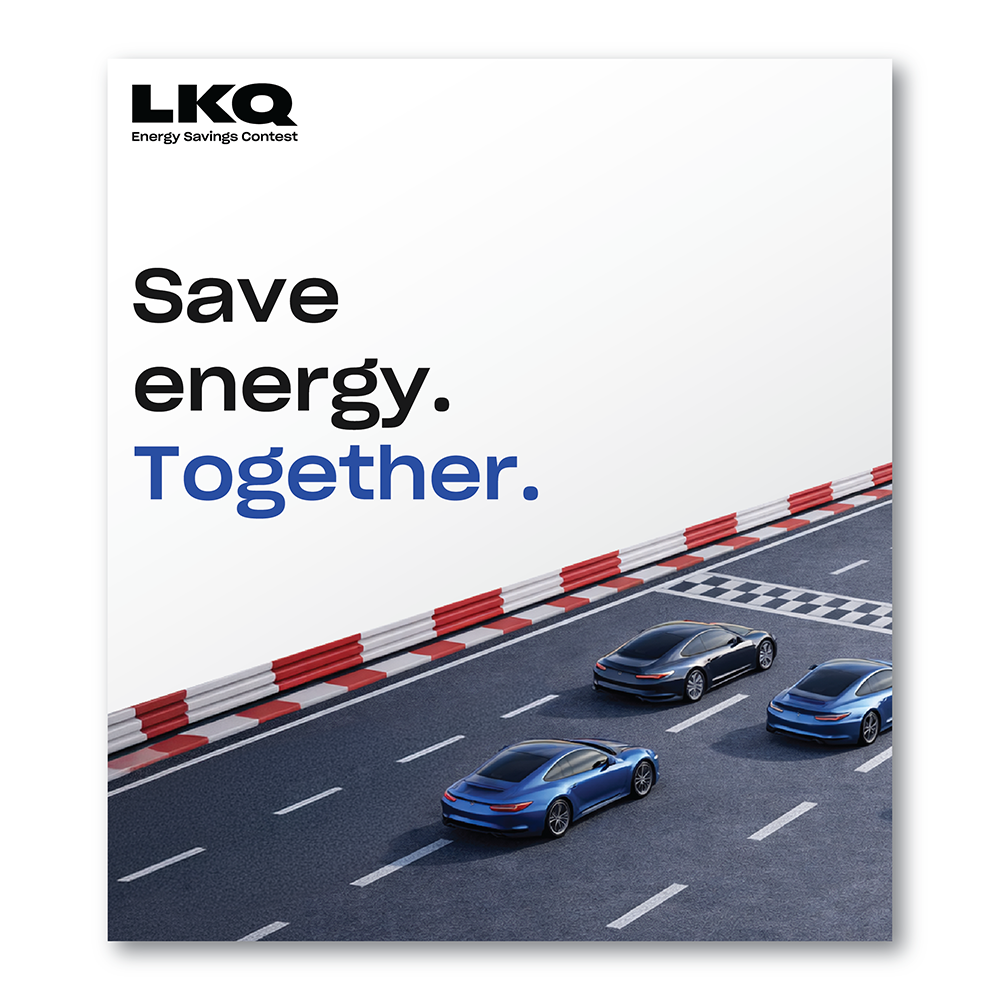 Energy Savings Decals - Double Switch (Bundle of 10)